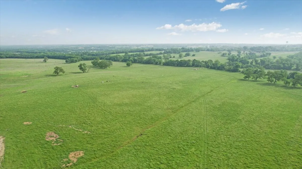 Unimproved Land For Sale in Fannin County , TBD N Fm 100, Honey Grove, Texas 75446, 0, 0, Garage spaces, 0 Sqft, built in 0, Price $3,400,000, mls#21245961, Real Estate Agent in Honey Grove, Homes For Sale in Fannin county, Homes For Sale in Honey Grove, Realtor in Honey Grove Texas, Real Estate Brokerage Independent Realty Texas, Luminita Cordes Realtor
