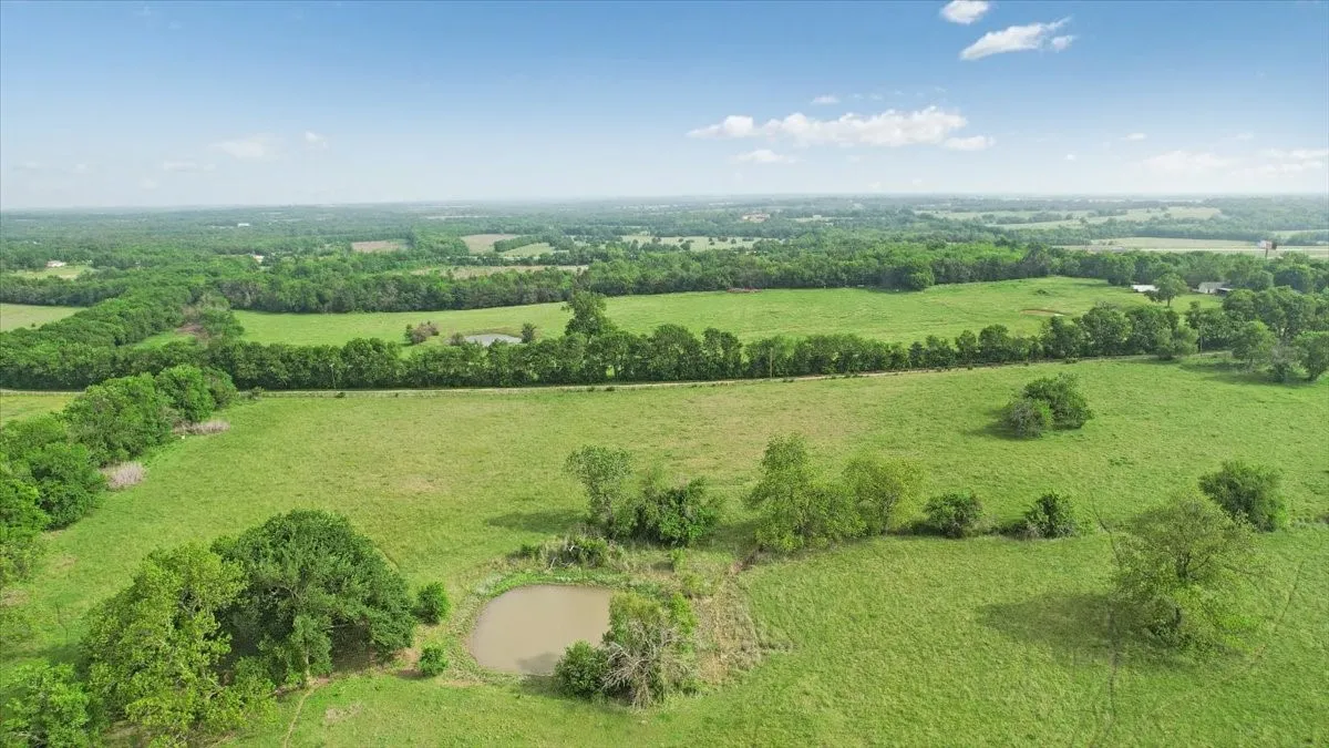 Unimproved Land For Sale in Fannin County , TBD N Fm 100, Honey Grove, Texas 75446, 0, 0, Garage spaces, 0 Sqft, built in 0, Price $3,400,000, mls#21245961, Real Estate Agent in Honey Grove, Homes For Sale in Fannin county, Homes For Sale in Honey Grove, Realtor in Honey Grove Texas, Real Estate Brokerage Independent Realty Texas, Luminita Cordes Realtor