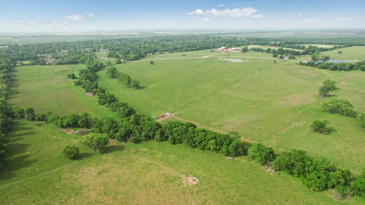 Unimproved Land For Sale in Fannin County , TBD N Fm 100, Honey Grove, Texas 75446, 0, 0, Garage spaces, 0 Sqft, built in 0, Price $3,400,000, mls#21245961, Real Estate Agent in Honey Grove, Homes For Sale in Fannin county, Homes For Sale in Honey Grove, Realtor in Honey Grove Texas, Real Estate Brokerage Independent Realty Texas, Luminita Cordes Realtor