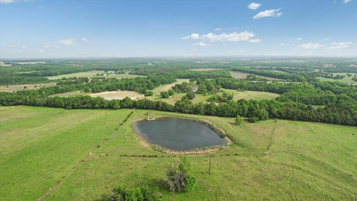 Unimproved Land For Sale in Fannin County , TBD N Fm 100, Honey Grove, Texas 75446, 0, 0, Garage spaces, 0 Sqft, built in 0, Price $3,400,000, mls#21245961, Real Estate Agent in Honey Grove, Homes For Sale in Fannin county, Homes For Sale in Honey Grove, Realtor in Honey Grove Texas, Real Estate Brokerage Independent Realty Texas, Luminita Cordes Realtor