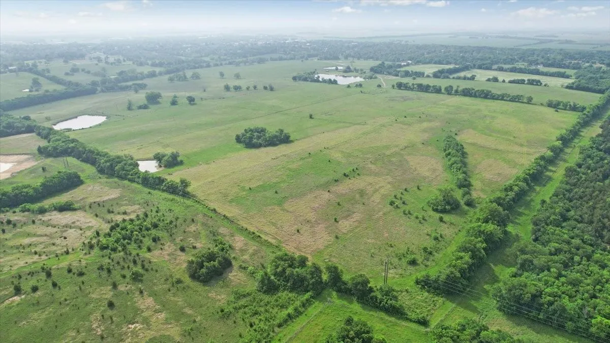 Unimproved Land For Sale in Fannin County , TBD N Fm 100, Honey Grove, Texas 75446, 0, 0, Garage spaces, 0 Sqft, built in 0, Price $3,400,000, mls#21245961, Real Estate Agent in Honey Grove, Homes For Sale in Fannin county, Homes For Sale in Honey Grove, Realtor in Honey Grove Texas, Real Estate Brokerage Independent Realty Texas, Luminita Cordes Realtor