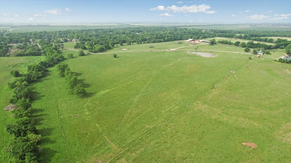 Unimproved Land For Sale in Fannin County , TBD N Fm 100, Honey Grove, Texas 75446, 0, 0, Garage spaces, 0 Sqft, built in 0, Price $3,400,000, mls#21245961, Real Estate Agent in Honey Grove, Homes For Sale in Fannin county, Homes For Sale in Honey Grove, Realtor in Honey Grove Texas, Real Estate Brokerage Independent Realty Texas, Luminita Cordes Realtor