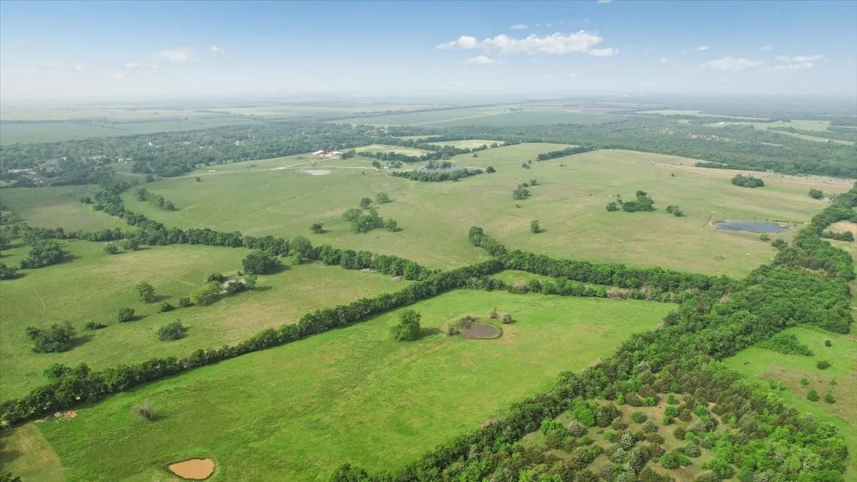 Unimproved Land For Sale in Fannin County , TBD N Fm 100, Honey Grove, Texas 75446, 0, 0, Garage spaces, 0 Sqft, built in 0, Price $3,400,000, mls#21245961, Real Estate Agent in Honey Grove, Homes For Sale in Fannin county, Homes For Sale in Honey Grove, Realtor in Honey Grove Texas, Real Estate Brokerage Independent Realty Texas, Luminita Cordes Realtor
