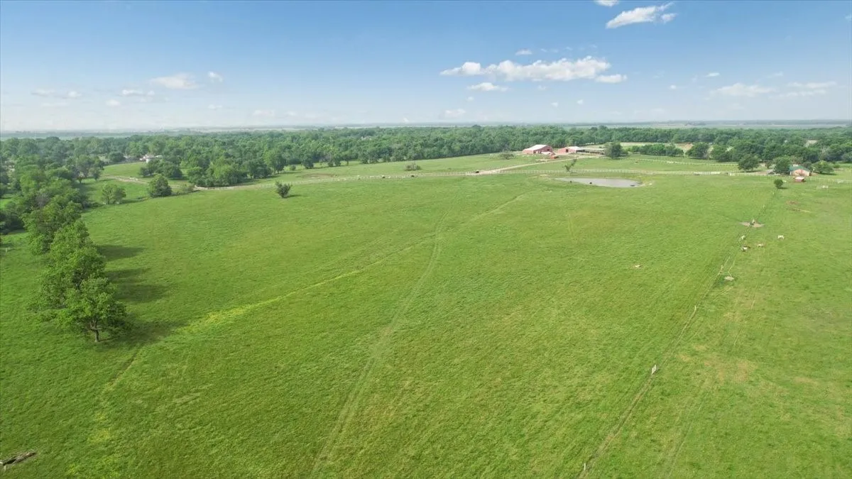 Unimproved Land For Sale in Fannin County , TBD N Fm 100, Honey Grove, Texas 75446, 0, 0, Garage spaces, 0 Sqft, built in 0, Price $3,400,000, mls#21245961, Real Estate Agent in Honey Grove, Homes For Sale in Fannin county, Homes For Sale in Honey Grove, Realtor in Honey Grove Texas, Real Estate Brokerage Independent Realty Texas, Luminita Cordes Realtor