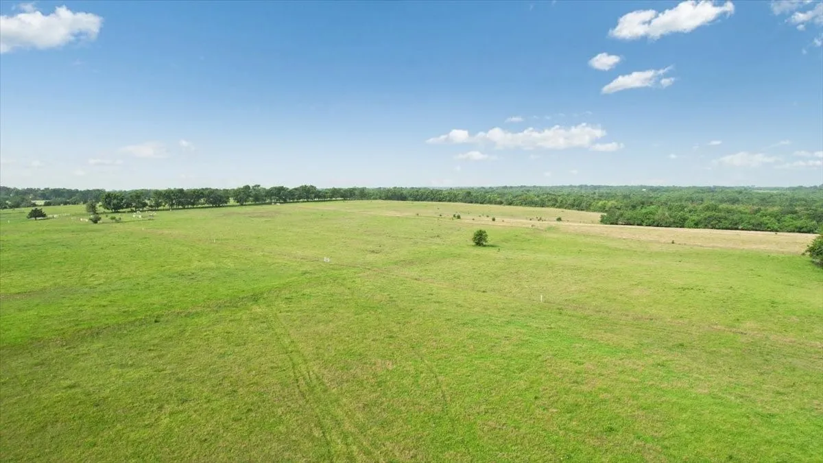 Unimproved Land For Sale in Fannin County , TBD N Fm 100, Honey Grove, Texas 75446, 0, 0, Garage spaces, 0 Sqft, built in 0, Price $3,400,000, mls#21245961, Real Estate Agent in Honey Grove, Homes For Sale in Fannin county, Homes For Sale in Honey Grove, Realtor in Honey Grove Texas, Real Estate Brokerage Independent Realty Texas, Luminita Cordes Realtor