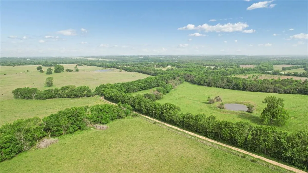 Unimproved Land For Sale in Fannin County , TBD N Fm 100, Honey Grove, Texas 75446, 0, 0, Garage spaces, 0 Sqft, built in 0, Price $3,400,000, mls#21245961, Real Estate Agent in Honey Grove, Homes For Sale in Fannin county, Homes For Sale in Honey Grove, Realtor in Honey Grove Texas, Real Estate Brokerage Independent Realty Texas, Luminita Cordes Realtor