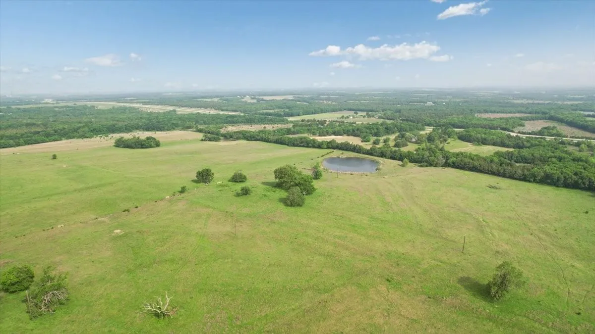 Unimproved Land For Sale in Fannin County , TBD N Fm 100, Honey Grove, Texas 75446, 0, 0, Garage spaces, 0 Sqft, built in 0, Price $3,400,000, mls#21245961, Real Estate Agent in Honey Grove, Homes For Sale in Fannin county, Homes For Sale in Honey Grove, Realtor in Honey Grove Texas, Real Estate Brokerage Independent Realty Texas, Luminita Cordes Realtor