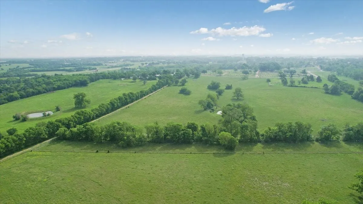 Unimproved Land For Sale in Fannin County , TBD N Fm 100, Honey Grove, Texas 75446, 0, 0, Garage spaces, 0 Sqft, built in 0, Price $3,400,000, mls#21245961, Real Estate Agent in Honey Grove, Homes For Sale in Fannin county, Homes For Sale in Honey Grove, Realtor in Honey Grove Texas, Real Estate Brokerage Independent Realty Texas, Luminita Cordes Realtor
