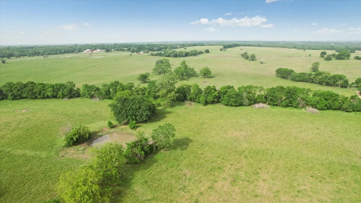 Unimproved Land For Sale in Fannin County , TBD N Fm 100, Honey Grove, Texas 75446, 0, 0, Garage spaces, 0 Sqft, built in 0, Price $3,400,000, mls#21245961, Real Estate Agent in Honey Grove, Homes For Sale in Fannin county, Homes For Sale in Honey Grove, Realtor in Honey Grove Texas, Real Estate Brokerage Independent Realty Texas, Luminita Cordes Realtor