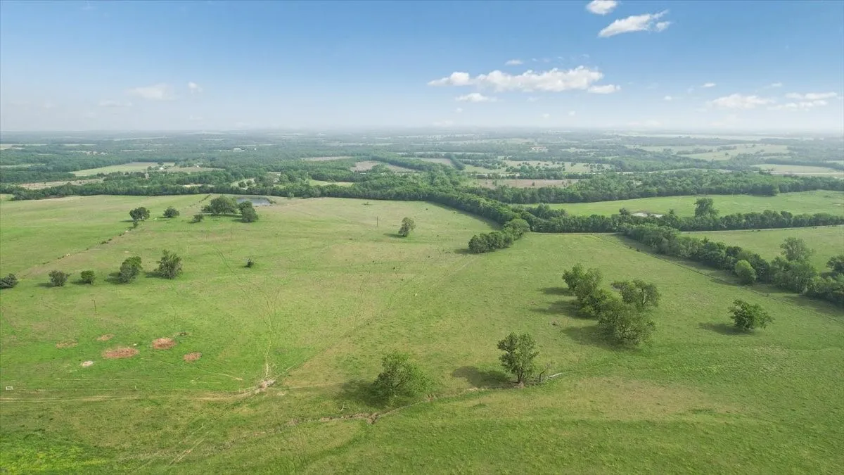 Unimproved Land For Sale in Fannin County , TBD N Fm 100, Honey Grove, Texas 75446, 0, 0, Garage spaces, 0 Sqft, built in 0, Price $3,400,000, mls#21245961, Real Estate Agent in Honey Grove, Homes For Sale in Fannin county, Homes For Sale in Honey Grove, Realtor in Honey Grove Texas, Real Estate Brokerage Independent Realty Texas, Luminita Cordes Realtor