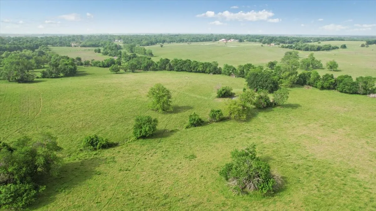 Unimproved Land For Sale in Fannin County , TBD N Fm 100, Honey Grove, Texas 75446, 0, 0, Garage spaces, 0 Sqft, built in 0, Price $3,400,000, mls#21245961, Real Estate Agent in Honey Grove, Homes For Sale in Fannin county, Homes For Sale in Honey Grove, Realtor in Honey Grove Texas, Real Estate Brokerage Independent Realty Texas, Luminita Cordes Realtor