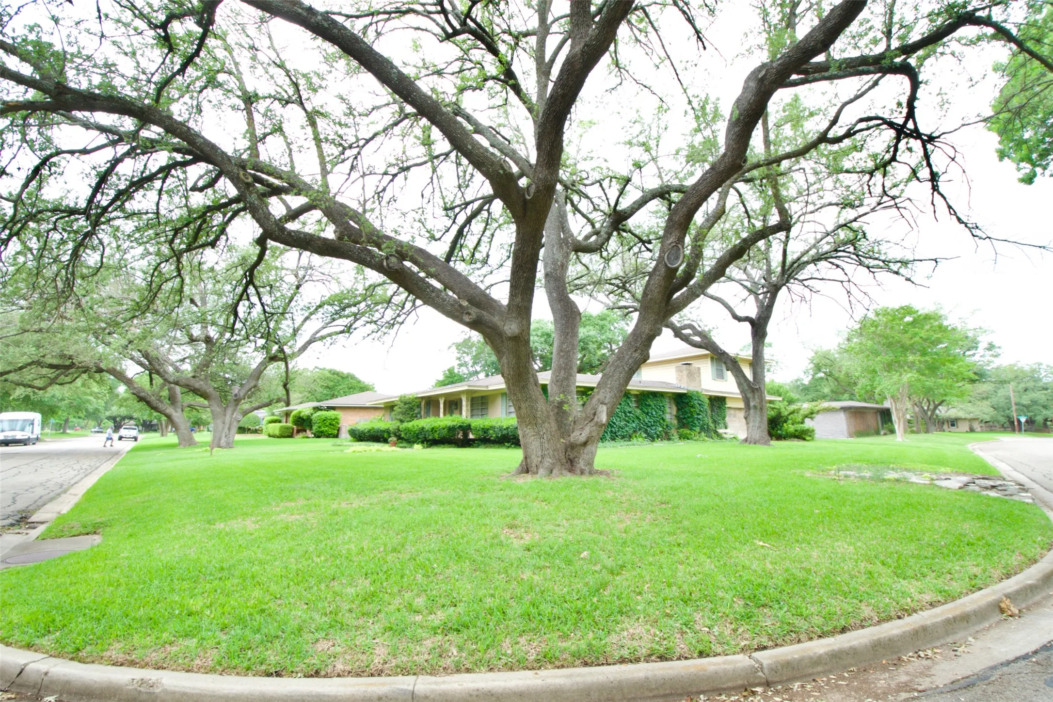 Single Family Residence For Sale in Mc Lennan County , 4901 Pine Avenue, Waco, Texas 76710, 4 Bedroom, 3 Bathroom, Garage spaces, 2,566 Sqft, built in 1956, mls#21258449, Real Estate Agent in Waco, Homes For Sale in Mc Lennan county, Homes For Sale in Waco, Realtor in Waco Texas, Real Estate Brokerage Independent Realty Texas, Luminita Cordes Realtor