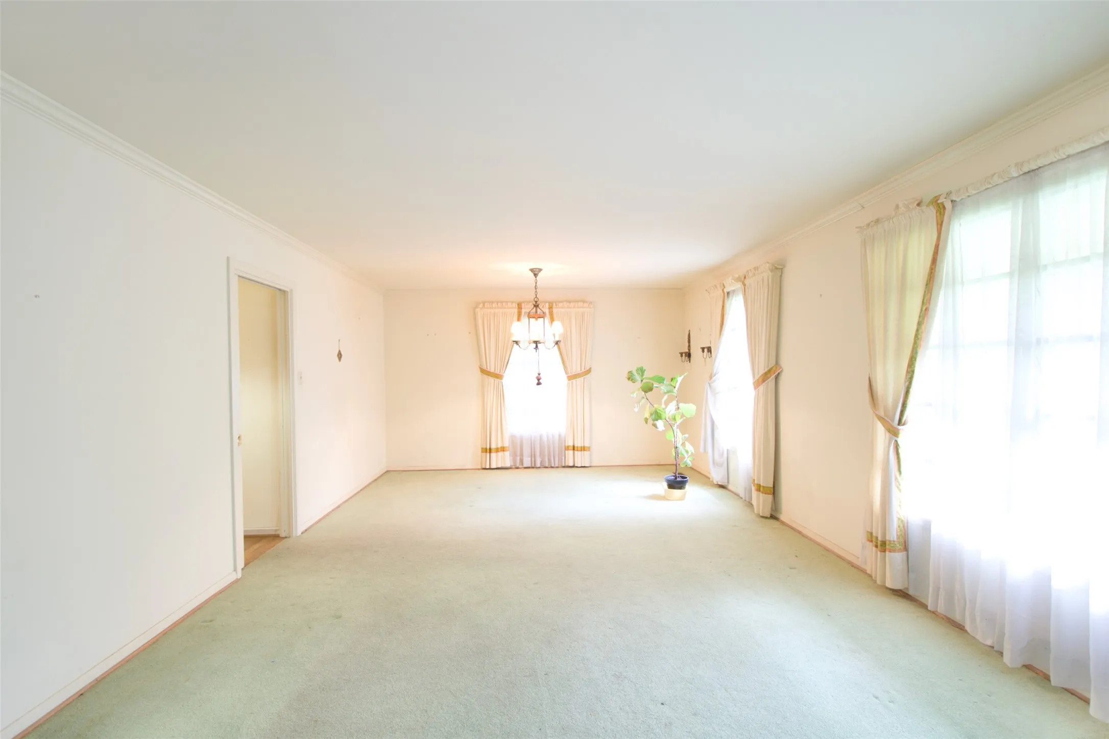 Single Family Residence For Sale in Mc Lennan County , 4901 Pine Avenue, Waco, Texas 76710, 4 Bedroom, 3 Bathroom, Garage spaces, 2,566 Sqft, built in 1956, mls#21258449, Real Estate Agent in Waco, Homes For Sale in Mc Lennan county, Homes For Sale in Waco, Realtor in Waco Texas, Real Estate Brokerage Independent Realty Texas, Luminita Cordes Realtor