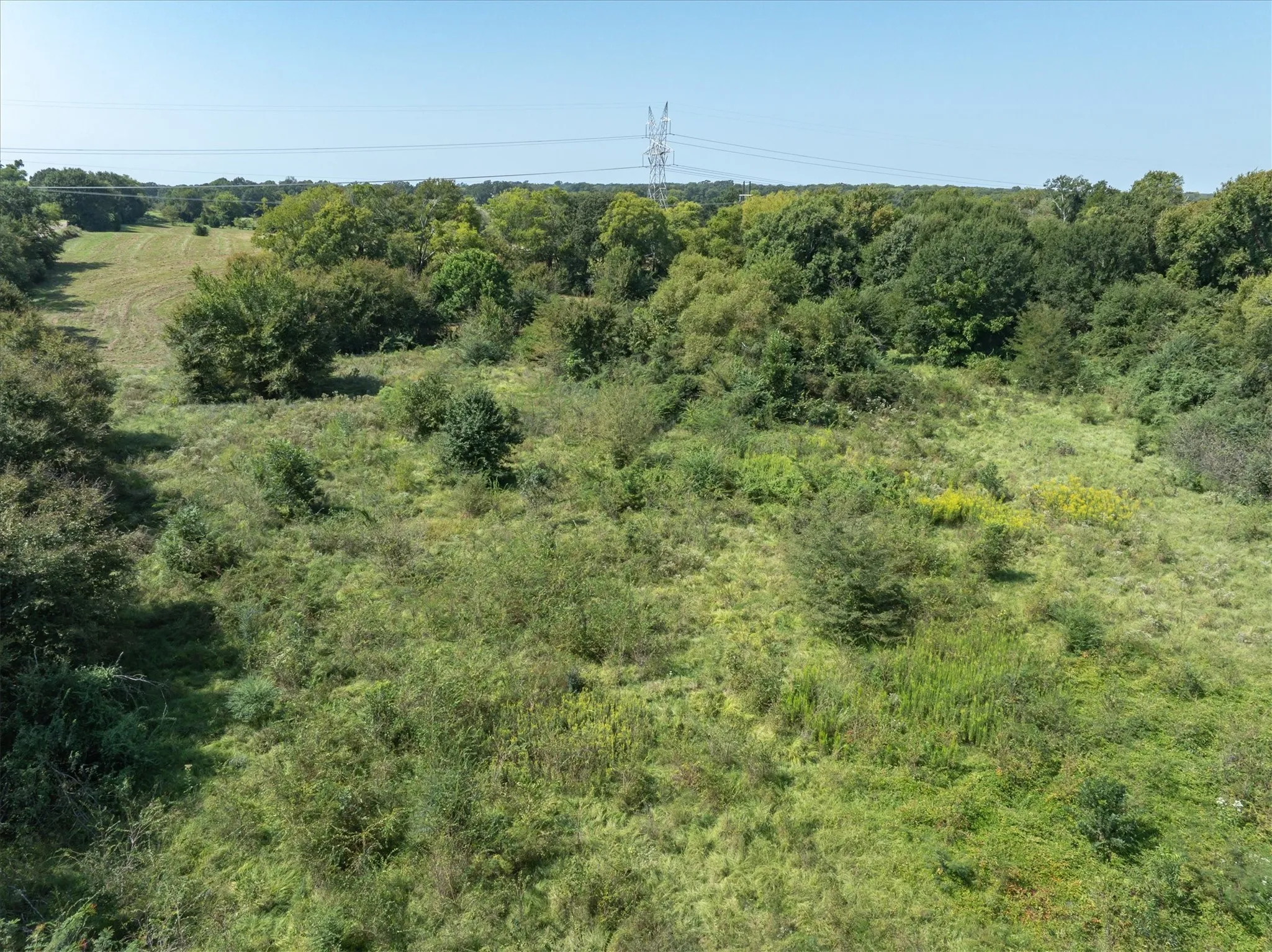 Unimproved Land For Sale in Van Zandt County , TBD VZ County Road 2411, Canton, Texas 75103, 0, 0, Garage spaces, 0 Sqft, built in 0, Price $115,000, mls#21260196, Real Estate Agent in Canton, Homes For Sale in Van Zandt county, Homes For Sale in Canton, Realtor in Canton Texas, Real Estate Brokerage Independent Realty Texas, Luminita Cordes Realtor