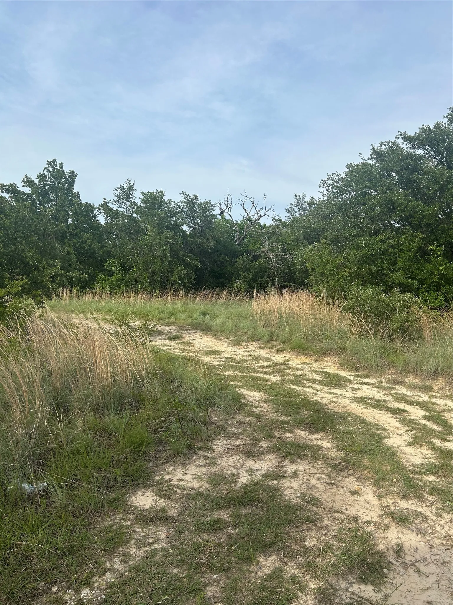 Unimproved Land For Sale in Wise County , 186 PR 3873, Poolville, Texas 76487, 0, 0, Garage spaces, 0 Sqft, built in 0, mls#21260184, Real Estate Agent in Poolville, Homes For Sale in Wise county, Homes For Sale in Poolville, Realtor in Poolville Texas, Real Estate Brokerage Independent Realty Texas, Luminita Cordes Realtor