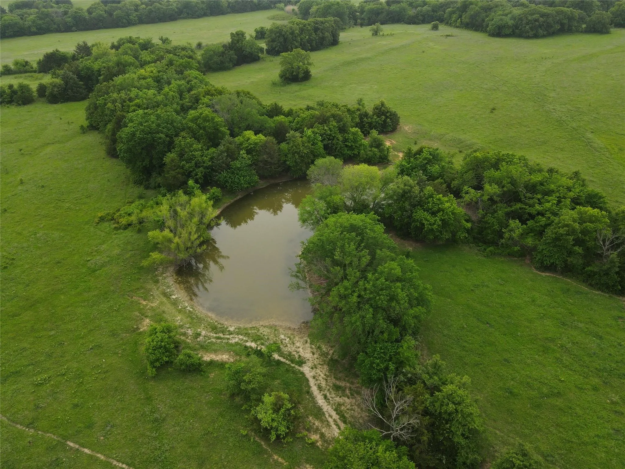 Improved Land For Sale in Montague County , 5444 Well Service Road, Bowie, Texas 76230, 0, 0, Garage spaces, 0 Sqft, built in 0, mls#21254999, Real Estate Agent in Bowie, Homes For Sale in Montague county, Homes For Sale in Bowie, Realtor in Bowie Texas, Real Estate Brokerage Independent Realty Texas, Luminita Cordes Realtor