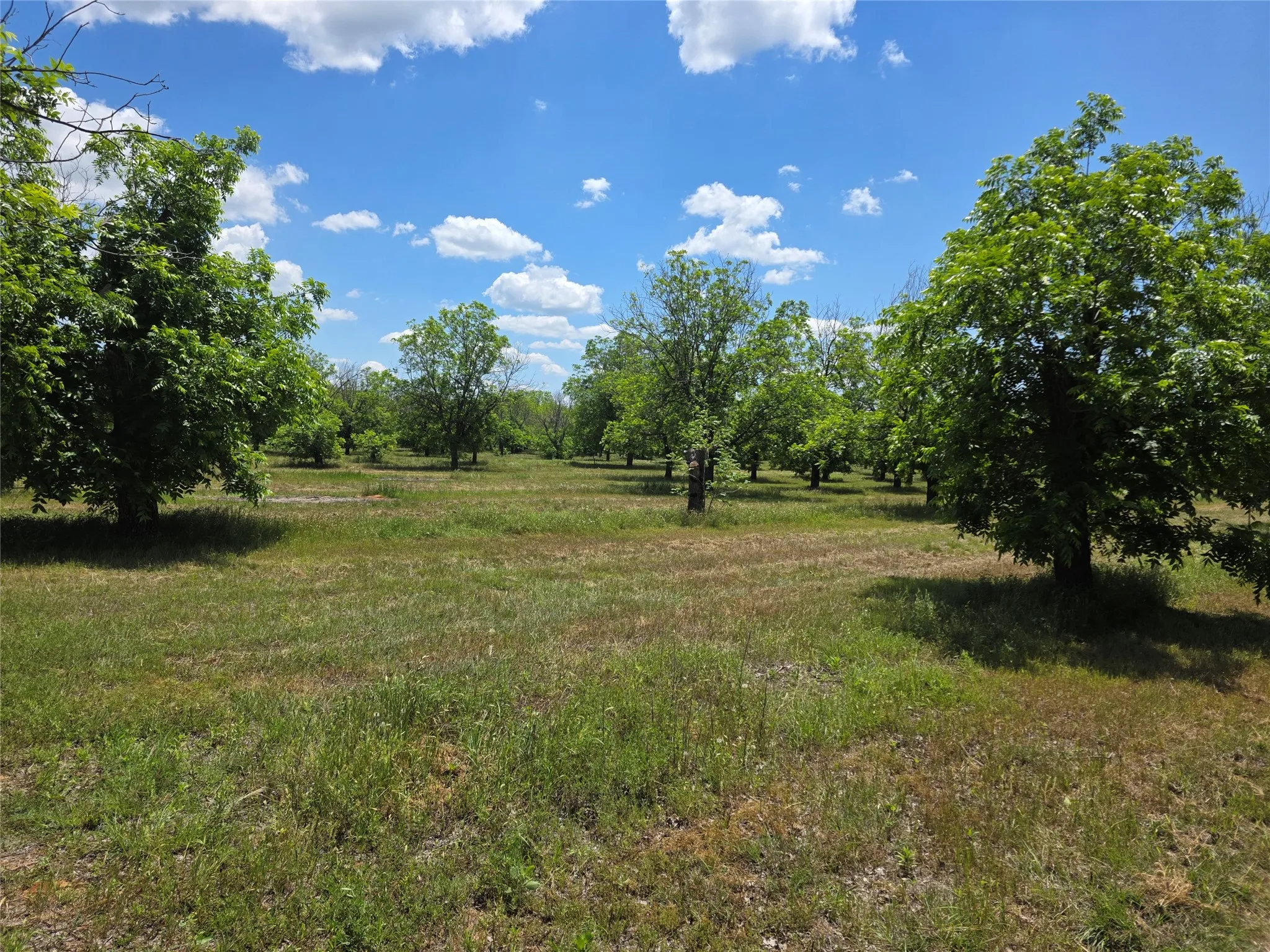 Ranch For Sale in Comanche County , TBD Cr 446, De Leon, Texas 76444, 0, 0, Garage spaces, 0 Sqft, built in 0, Price $273,857, mls#21260405, Real Estate Agent in De Leon, Homes For Sale in Comanche county, Homes For Sale in De Leon, Realtor in De Leon Texas, Real Estate Brokerage Independent Realty Texas, Luminita Cordes Realtor