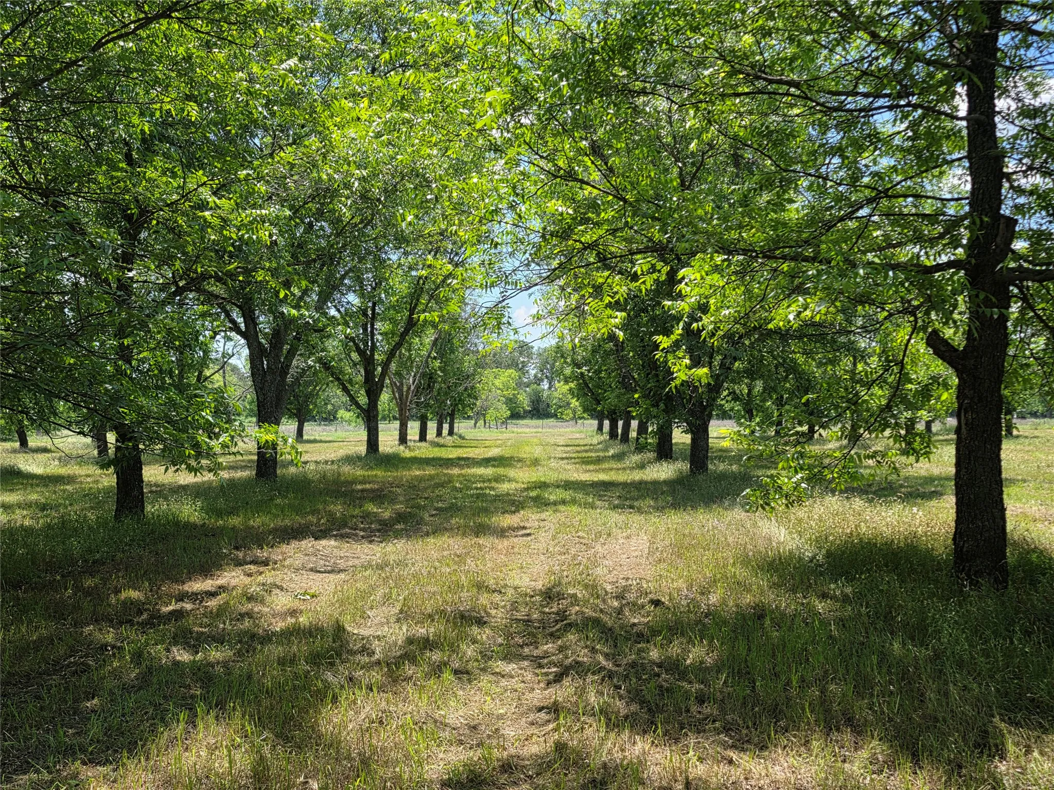 Ranch For Sale in Comanche County , TBD Cr 446, De Leon, Texas 76444, 0, 0, Garage spaces, 0 Sqft, built in 0, Price $273,857, mls#21260405, Real Estate Agent in De Leon, Homes For Sale in Comanche county, Homes For Sale in De Leon, Realtor in De Leon Texas, Real Estate Brokerage Independent Realty Texas, Luminita Cordes Realtor