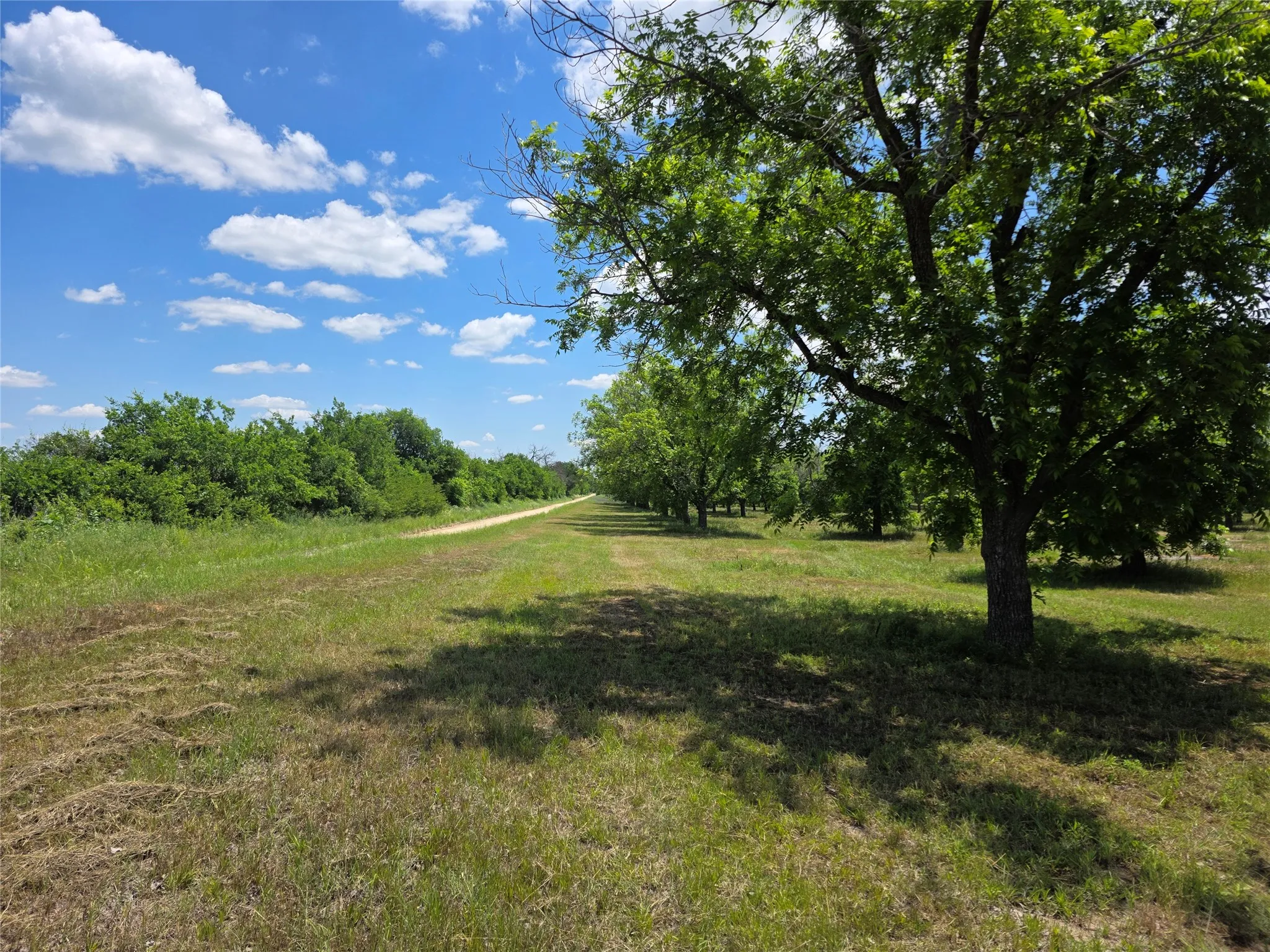 Ranch For Sale in Comanche County , TBD Cr 446, De Leon, Texas 76444, 0, 0, Garage spaces, 0 Sqft, built in 0, Price $273,857, mls#21260405, Real Estate Agent in De Leon, Homes For Sale in Comanche county, Homes For Sale in De Leon, Realtor in De Leon Texas, Real Estate Brokerage Independent Realty Texas, Luminita Cordes Realtor