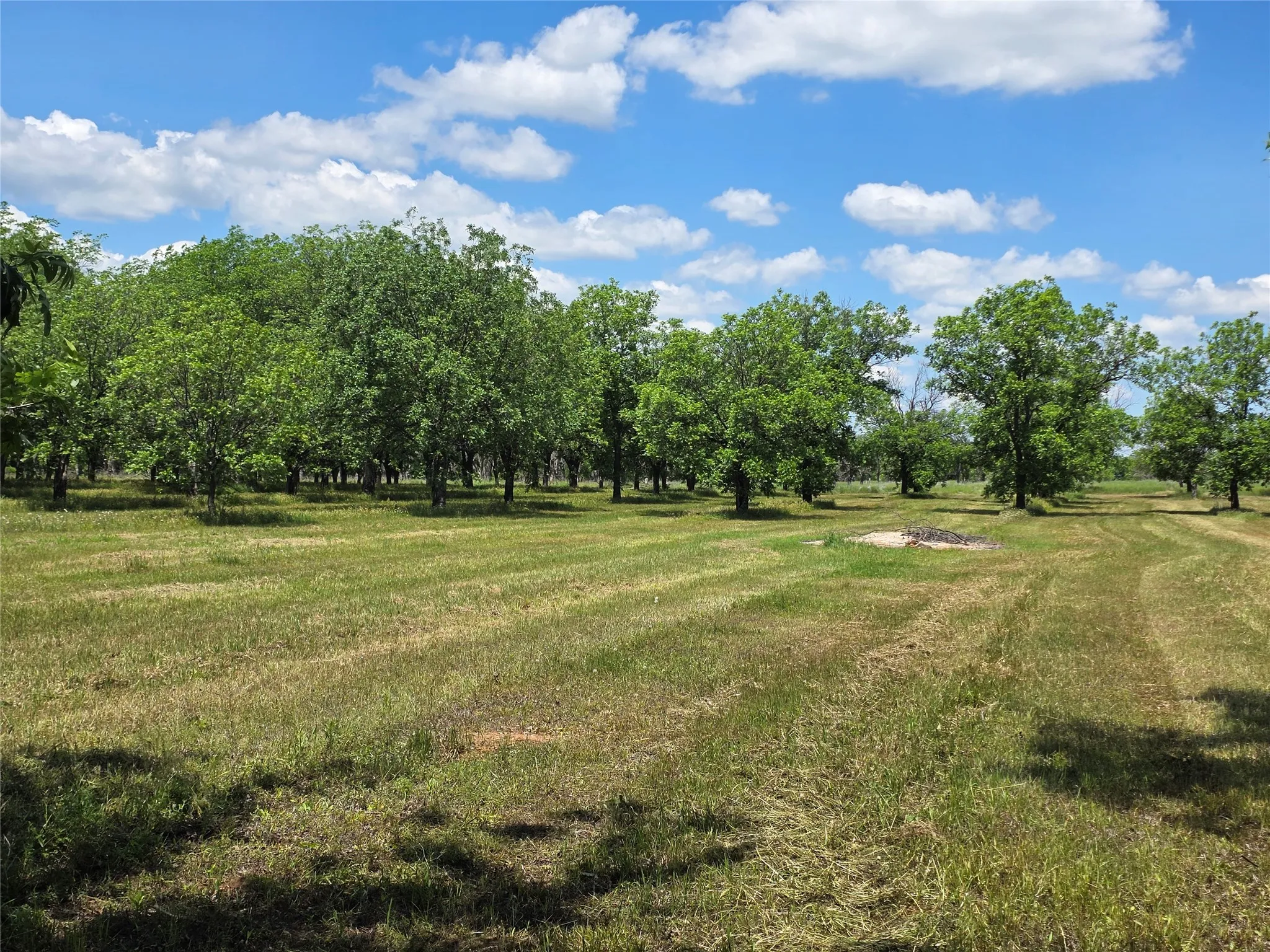 Ranch For Sale in Comanche County , TBD Cr 446, De Leon, Texas 76444, 0, 0, Garage spaces, 0 Sqft, built in 0, Price $273,857, mls#21260405, Real Estate Agent in De Leon, Homes For Sale in Comanche county, Homes For Sale in De Leon, Realtor in De Leon Texas, Real Estate Brokerage Independent Realty Texas, Luminita Cordes Realtor