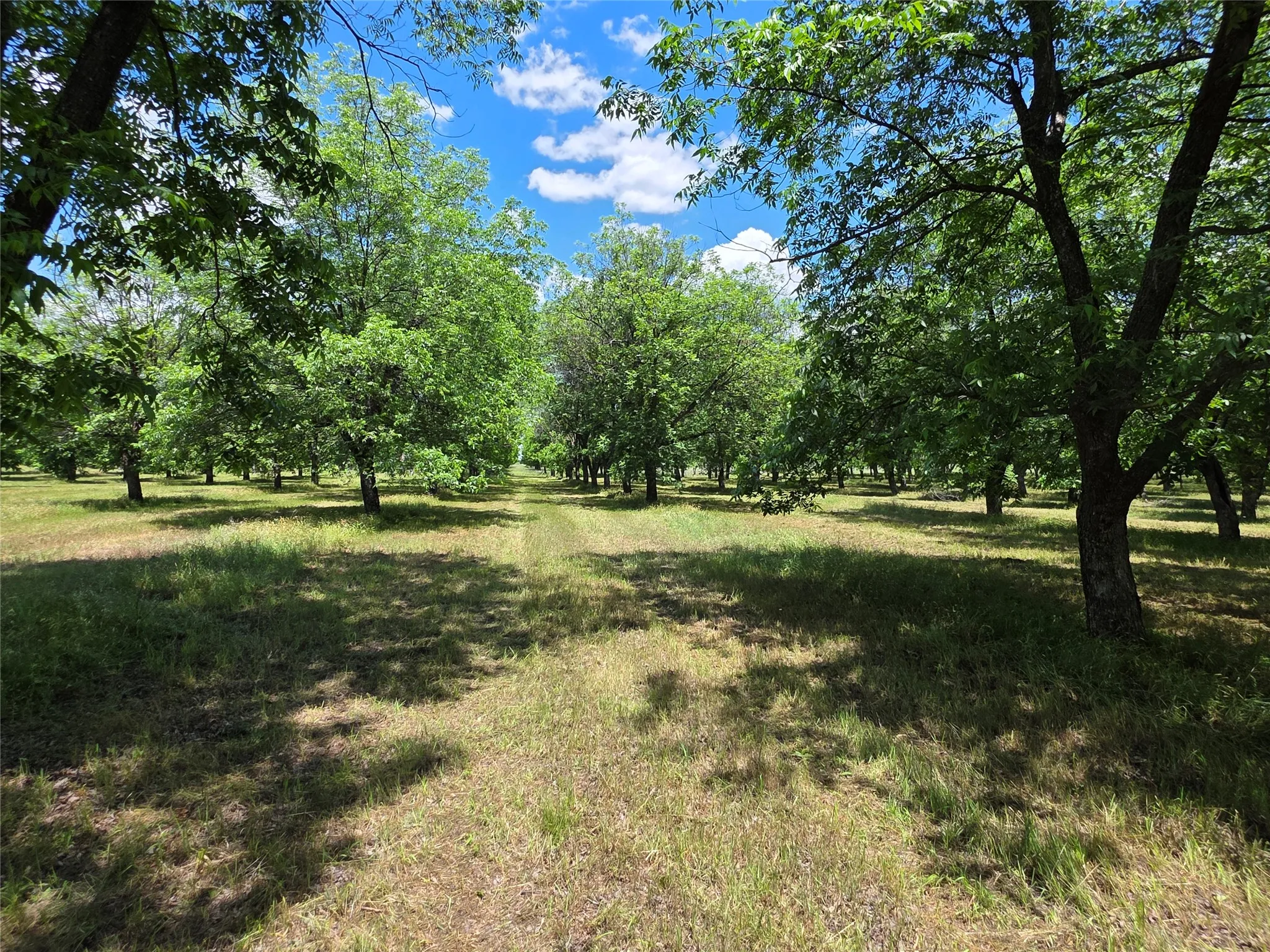 Ranch For Sale in Comanche County , TBD Cr 446, De Leon, Texas 76444, 0, 0, Garage spaces, 0 Sqft, built in 0, Price $273,857, mls#21260405, Real Estate Agent in De Leon, Homes For Sale in Comanche county, Homes For Sale in De Leon, Realtor in De Leon Texas, Real Estate Brokerage Independent Realty Texas, Luminita Cordes Realtor