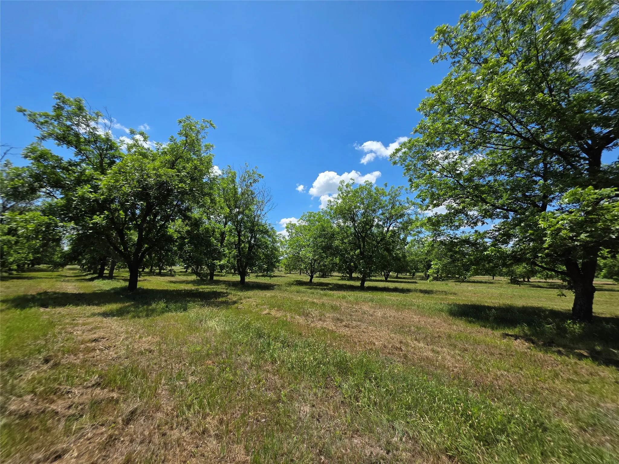 Ranch For Sale in Comanche County , TBD Cr 446, De Leon, Texas 76444, 0, 0, Garage spaces, 0 Sqft, built in 0, Price $273,857, mls#21260405, Real Estate Agent in De Leon, Homes For Sale in Comanche county, Homes For Sale in De Leon, Realtor in De Leon Texas, Real Estate Brokerage Independent Realty Texas, Luminita Cordes Realtor
