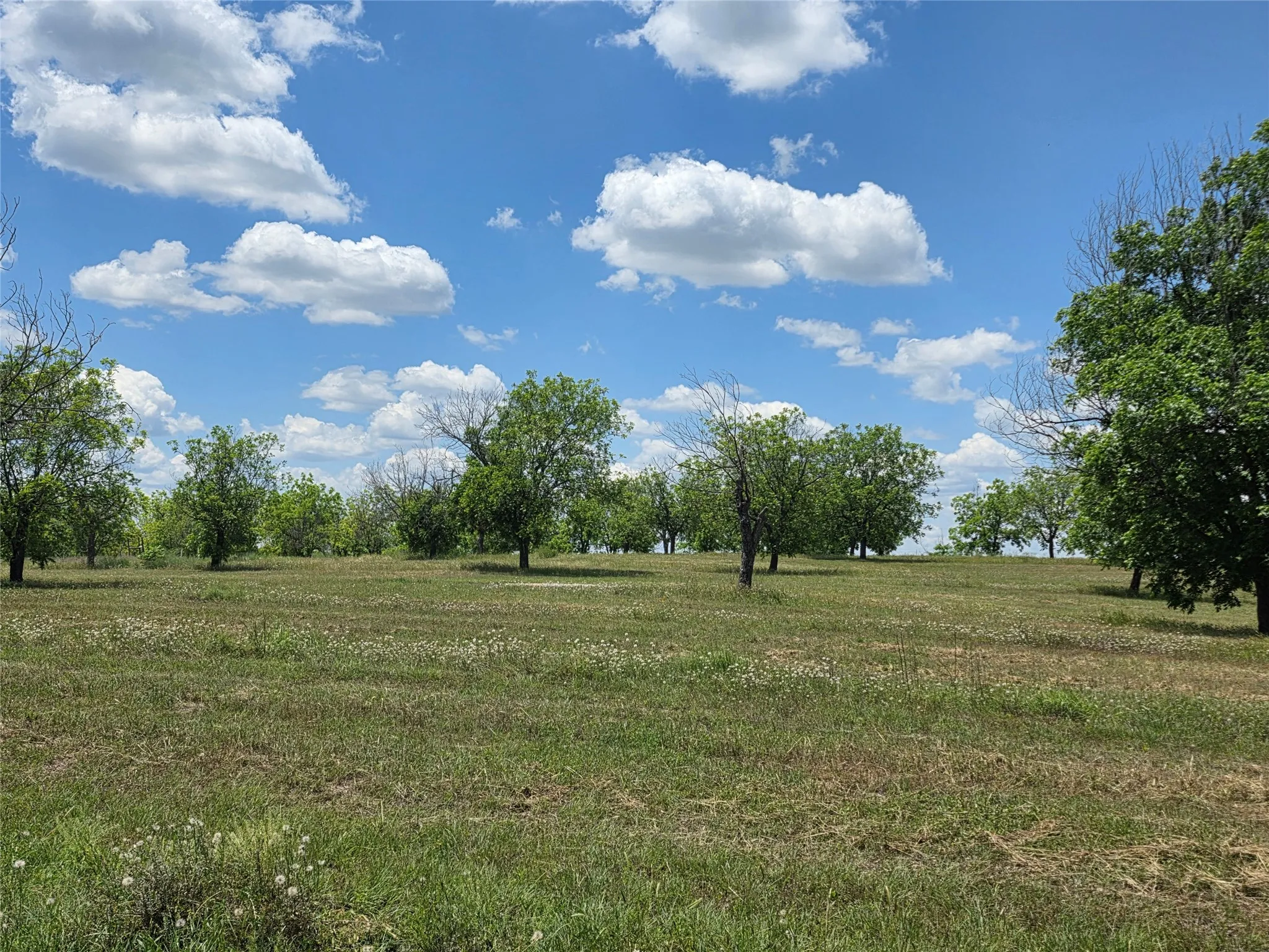 Ranch For Sale in Comanche County , TBD Cr 446, De Leon, Texas 76444, 0, 0, Garage spaces, 0 Sqft, built in 0, Price $273,857, mls#21260405, Real Estate Agent in De Leon, Homes For Sale in Comanche county, Homes For Sale in De Leon, Realtor in De Leon Texas, Real Estate Brokerage Independent Realty Texas, Luminita Cordes Realtor