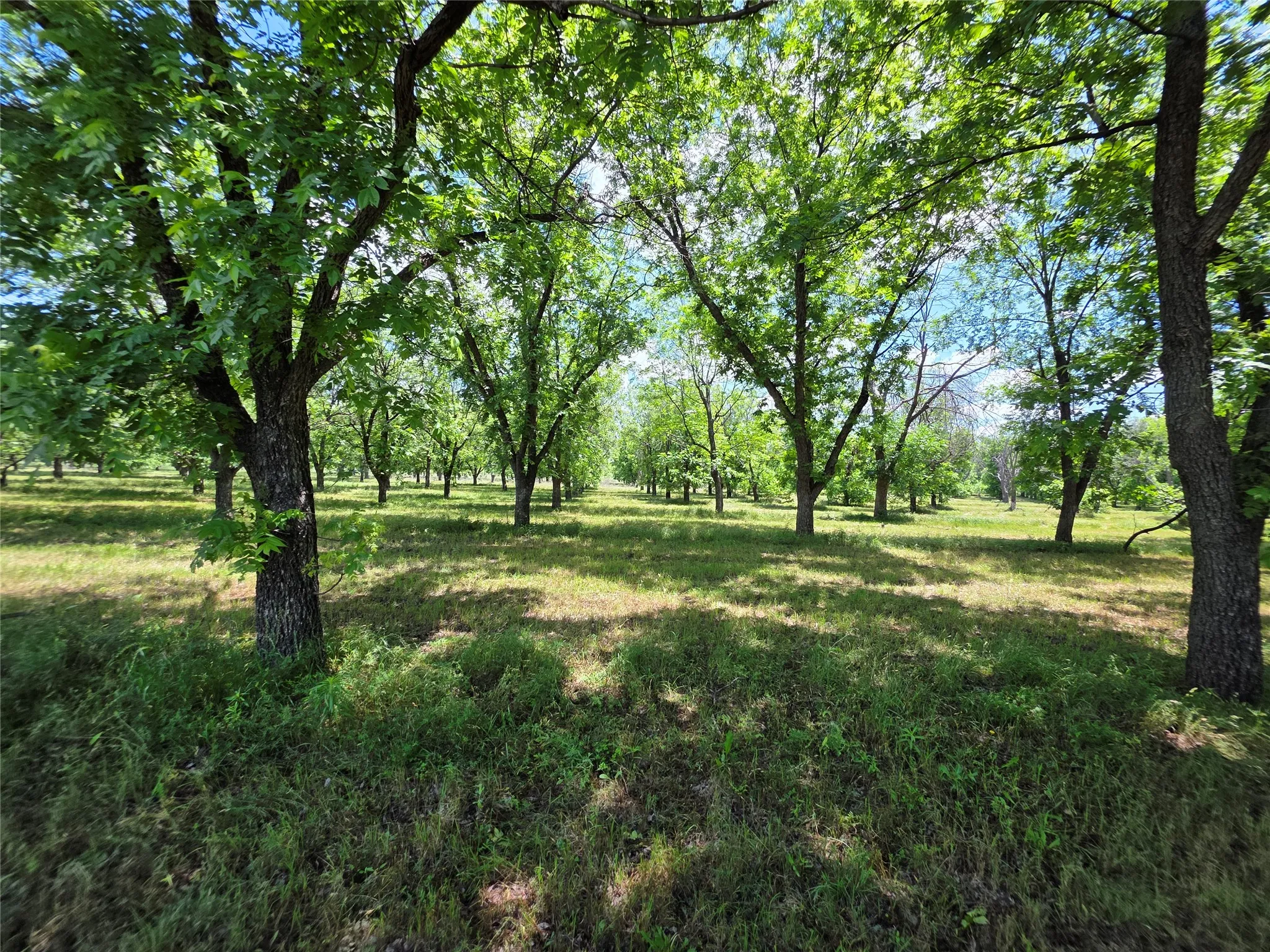 Ranch For Sale in Comanche County , TBD Cr 446, De Leon, Texas 76444, 0, 0, Garage spaces, 0 Sqft, built in 0, Price $273,857, mls#21260405, Real Estate Agent in De Leon, Homes For Sale in Comanche county, Homes For Sale in De Leon, Realtor in De Leon Texas, Real Estate Brokerage Independent Realty Texas, Luminita Cordes Realtor