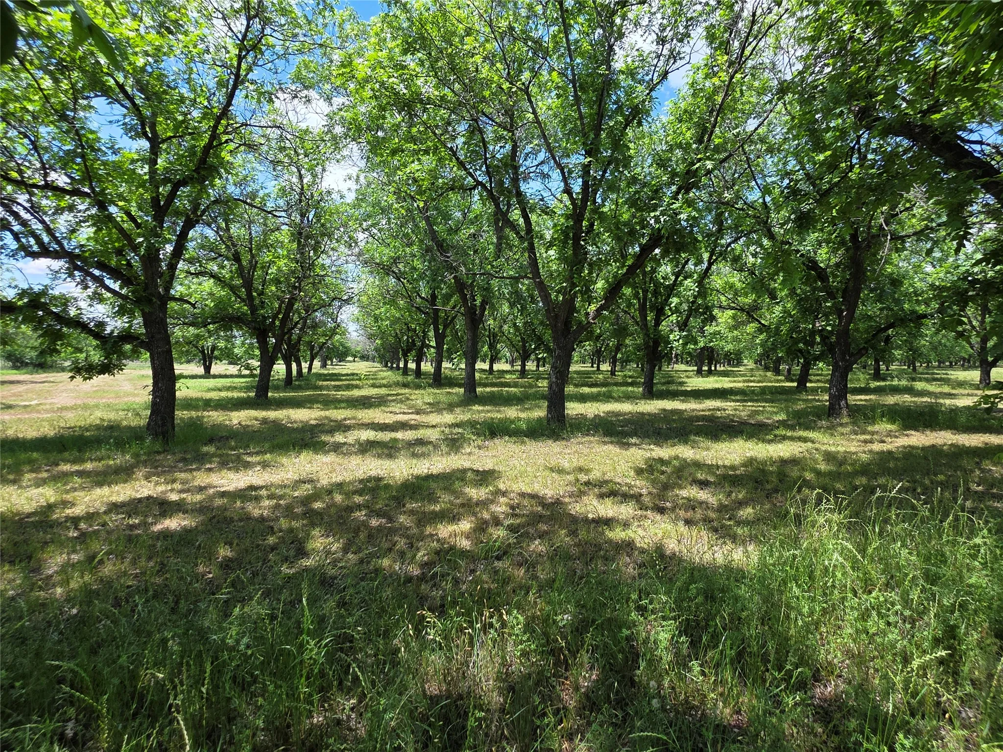Ranch For Sale in Comanche County , TBD Cr 446, De Leon, Texas 76444, 0, 0, Garage spaces, 0 Sqft, built in 0, Price $273,857, mls#21260405, Real Estate Agent in De Leon, Homes For Sale in Comanche county, Homes For Sale in De Leon, Realtor in De Leon Texas, Real Estate Brokerage Independent Realty Texas, Luminita Cordes Realtor