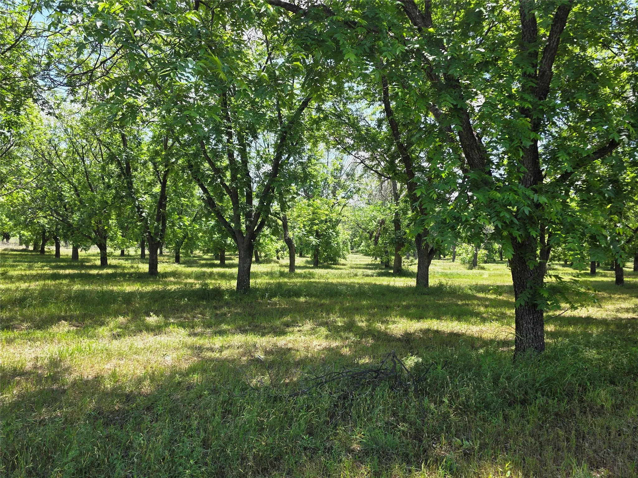 Ranch For Sale in Comanche County , TBD Cr 446, De Leon, Texas 76444, 0, 0, Garage spaces, 0 Sqft, built in 0, Price $273,857, mls#21260405, Real Estate Agent in De Leon, Homes For Sale in Comanche county, Homes For Sale in De Leon, Realtor in De Leon Texas, Real Estate Brokerage Independent Realty Texas, Luminita Cordes Realtor
