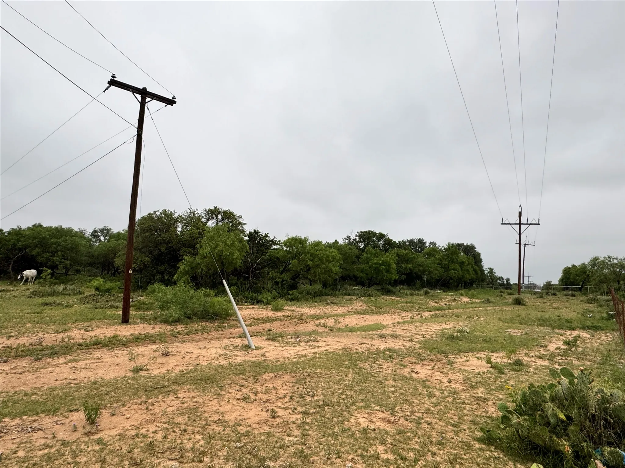 Unimproved Land For Sale in Brown County , TBD Early BLVD, Early, Texas 76802, 0, 0, Garage spaces, 0 Sqft, built in 0, Price $150,000, mls#21259830, Real Estate Agent in Early, Homes For Sale in Brown county, Homes For Sale in Early, Realtor in Early Texas, Real Estate Brokerage Independent Realty Texas, Luminita Cordes Realtor