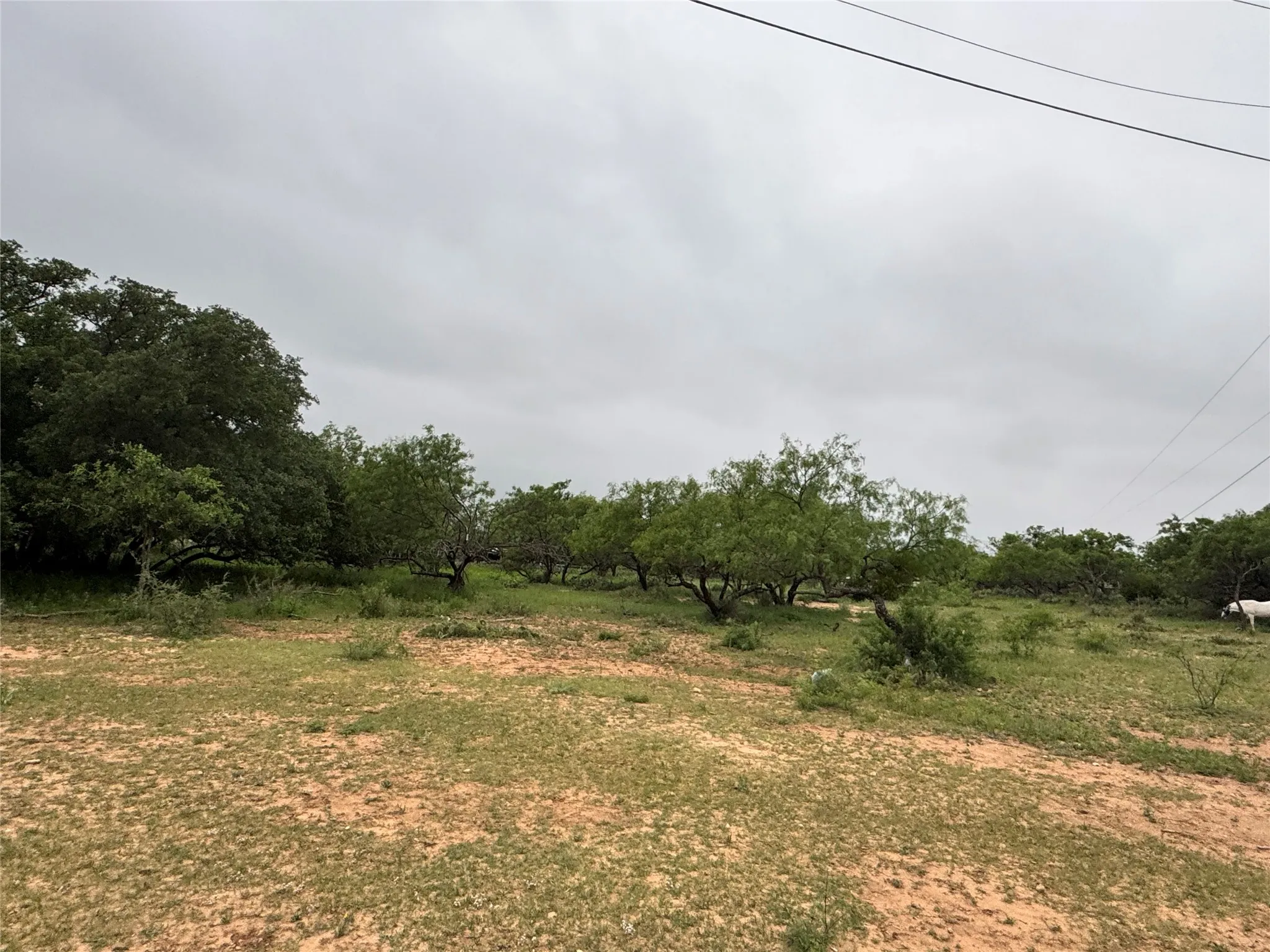 Unimproved Land For Sale in Brown County , TBD Early BLVD, Early, Texas 76802, 0, 0, Garage spaces, 0 Sqft, built in 0, Price $150,000, mls#21259830, Real Estate Agent in Early, Homes For Sale in Brown county, Homes For Sale in Early, Realtor in Early Texas, Real Estate Brokerage Independent Realty Texas, Luminita Cordes Realtor