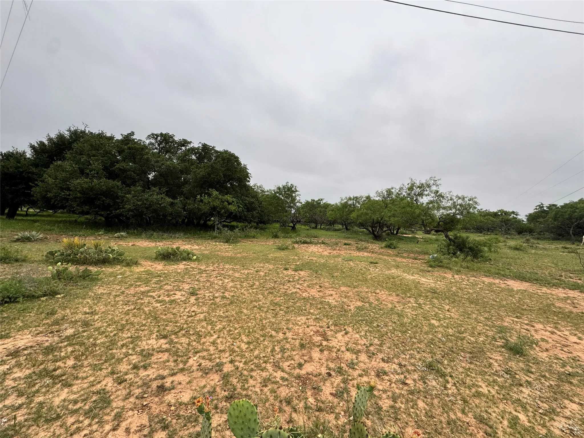 Unimproved Land For Sale in Brown County , TBD Early BLVD, Early, Texas 76802, 0, 0, Garage spaces, 0 Sqft, built in 0, Price $150,000, mls#21259830, Real Estate Agent in Early, Homes For Sale in Brown county, Homes For Sale in Early, Realtor in Early Texas, Real Estate Brokerage Independent Realty Texas, Luminita Cordes Realtor