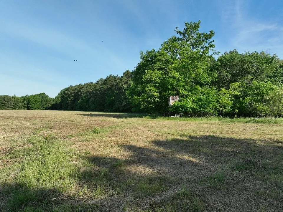 Improved Land For Sale in Red River (TX) County , 7453 Farm Road 412, Clarksville, Texas 75426, 0, 0, Garage spaces, 0 Sqft, built in 0, mls#21260508, Real Estate Agent in Clarksville, Homes For Sale in Red River (TX) county, Homes For Sale in Clarksville, Realtor in Clarksville Texas, Real Estate Brokerage Independent Realty Texas, Luminita Cordes Realtor