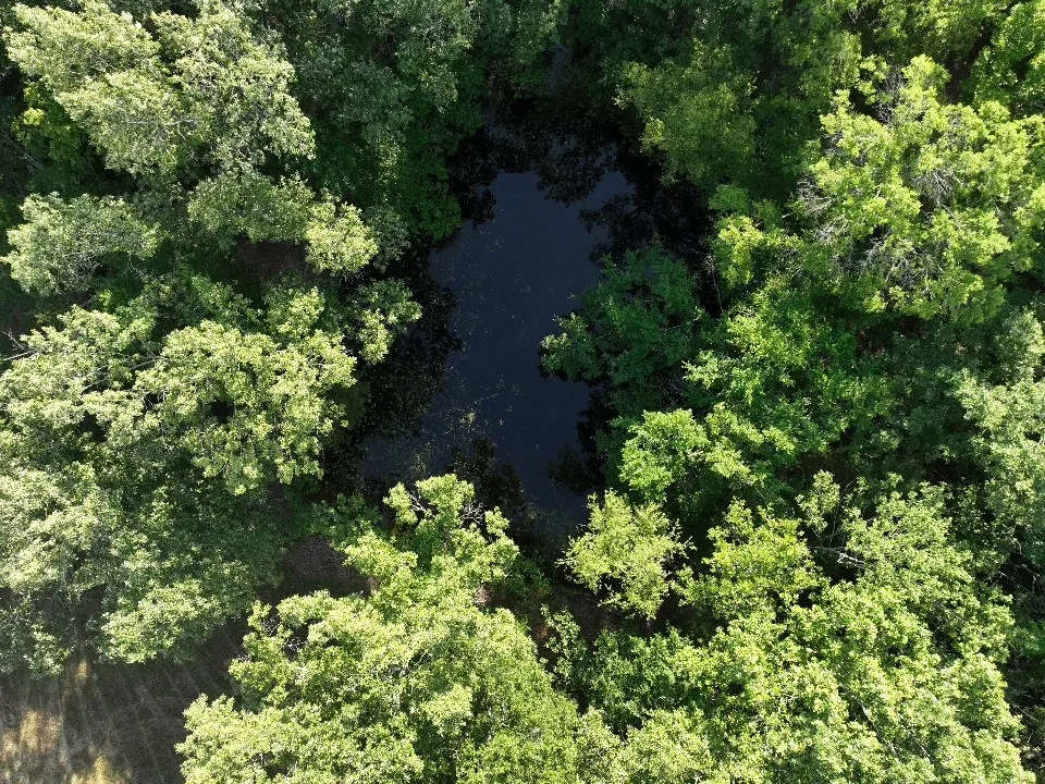 Improved Land For Sale in Red River (TX) County , 7453 Farm Road 412, Clarksville, Texas 75426, 0, 0, Garage spaces, 0 Sqft, built in 0, mls#21260508, Real Estate Agent in Clarksville, Homes For Sale in Red River (TX) county, Homes For Sale in Clarksville, Realtor in Clarksville Texas, Real Estate Brokerage Independent Realty Texas, Luminita Cordes Realtor