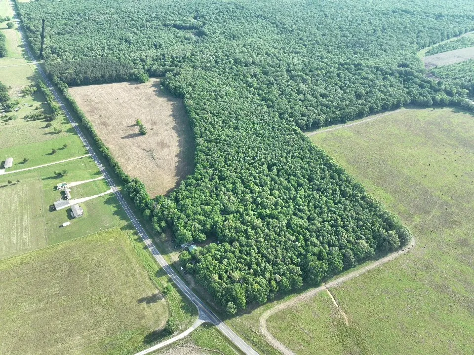 Improved Land For Sale in Red River (TX) County , 7453 Farm Road 412, Clarksville, Texas 75426, 0, 0, Garage spaces, 0 Sqft, built in 0, mls#21260508, Real Estate Agent in Clarksville, Homes For Sale in Red River (TX) county, Homes For Sale in Clarksville, Realtor in Clarksville Texas, Real Estate Brokerage Independent Realty Texas, Luminita Cordes Realtor