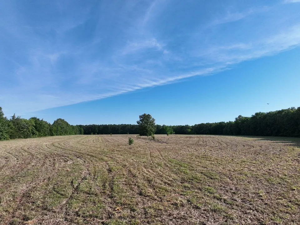 Improved Land For Sale in Red River (TX) County , 7453 Farm Road 412, Clarksville, Texas 75426, 0, 0, Garage spaces, 0 Sqft, built in 0, mls#21260508, Real Estate Agent in Clarksville, Homes For Sale in Red River (TX) county, Homes For Sale in Clarksville, Realtor in Clarksville Texas, Real Estate Brokerage Independent Realty Texas, Luminita Cordes Realtor
