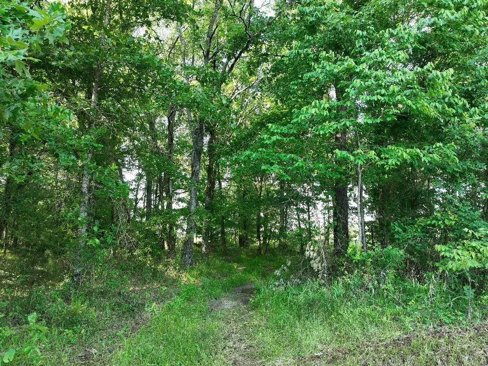 Improved Land For Sale in Red River (TX) County , 7453 Farm Road 412, Clarksville, Texas 75426, 0, 0, Garage spaces, 0 Sqft, built in 0, mls#21260508, Real Estate Agent in Clarksville, Homes For Sale in Red River (TX) county, Homes For Sale in Clarksville, Realtor in Clarksville Texas, Real Estate Brokerage Independent Realty Texas, Luminita Cordes Realtor