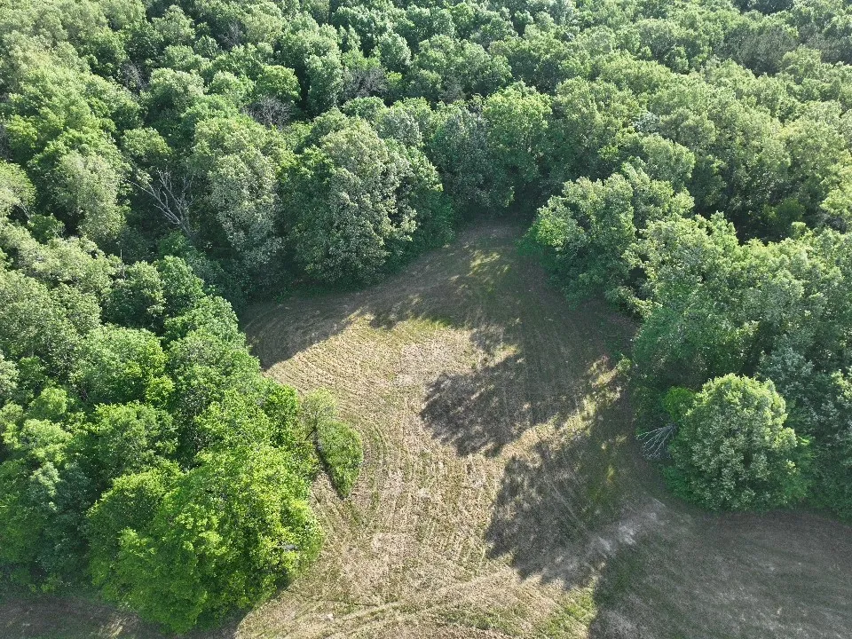 Improved Land For Sale in Red River (TX) County , 7453 Farm Road 412, Clarksville, Texas 75426, 0, 0, Garage spaces, 0 Sqft, built in 0, mls#21260508, Real Estate Agent in Clarksville, Homes For Sale in Red River (TX) county, Homes For Sale in Clarksville, Realtor in Clarksville Texas, Real Estate Brokerage Independent Realty Texas, Luminita Cordes Realtor