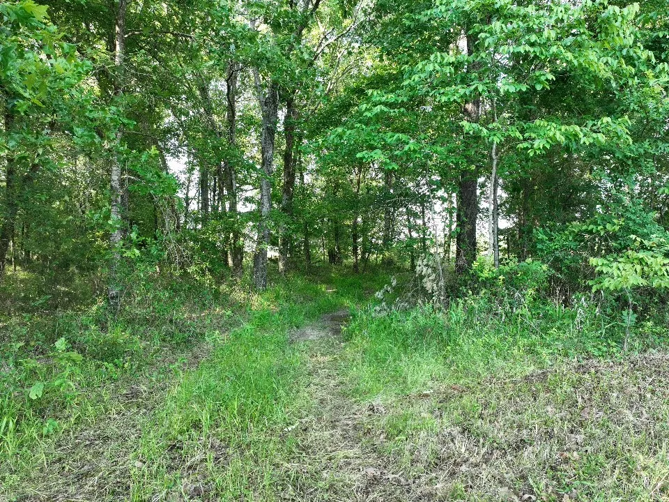 Improved Land For Sale in Red River (TX) County , 7453 Farm Road 412, Clarksville, Texas 75426, 0, 0, Garage spaces, 0 Sqft, built in 0, mls#21260508, Real Estate Agent in Clarksville, Homes For Sale in Red River (TX) county, Homes For Sale in Clarksville, Realtor in Clarksville Texas, Real Estate Brokerage Independent Realty Texas, Luminita Cordes Realtor