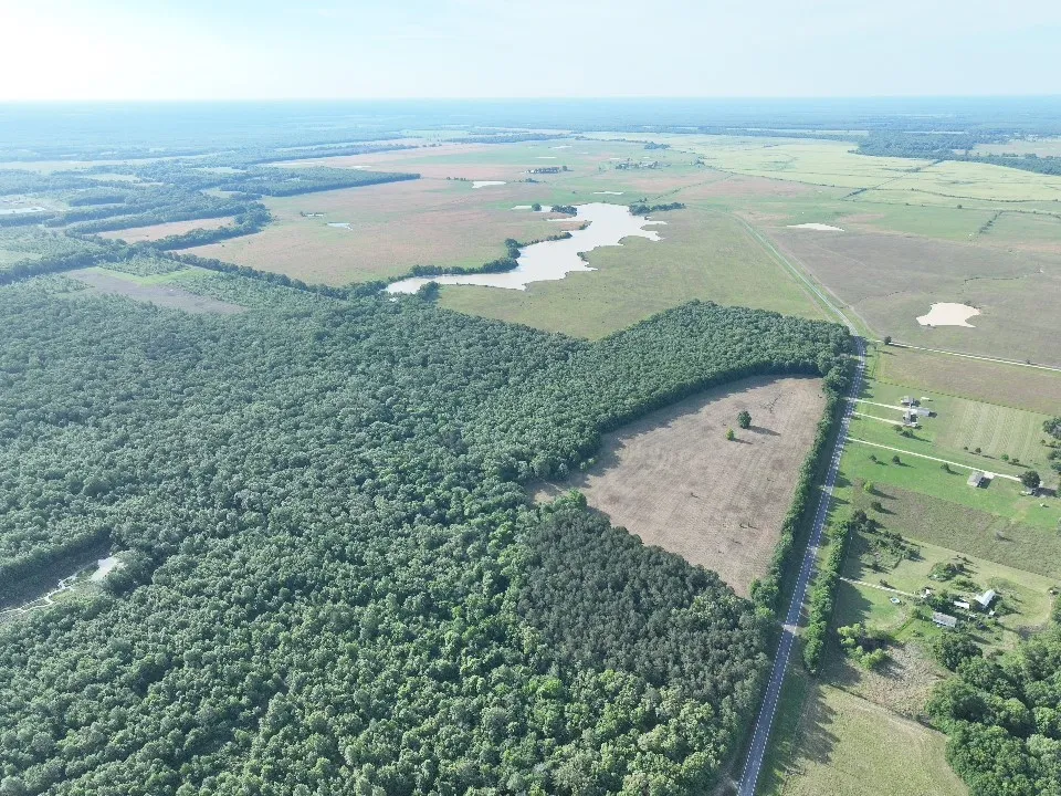 Improved Land For Sale in Red River (TX) County , 7453 Farm Road 412, Clarksville, Texas 75426, 0, 0, Garage spaces, 0 Sqft, built in 0, mls#21260508, Real Estate Agent in Clarksville, Homes For Sale in Red River (TX) county, Homes For Sale in Clarksville, Realtor in Clarksville Texas, Real Estate Brokerage Independent Realty Texas, Luminita Cordes Realtor