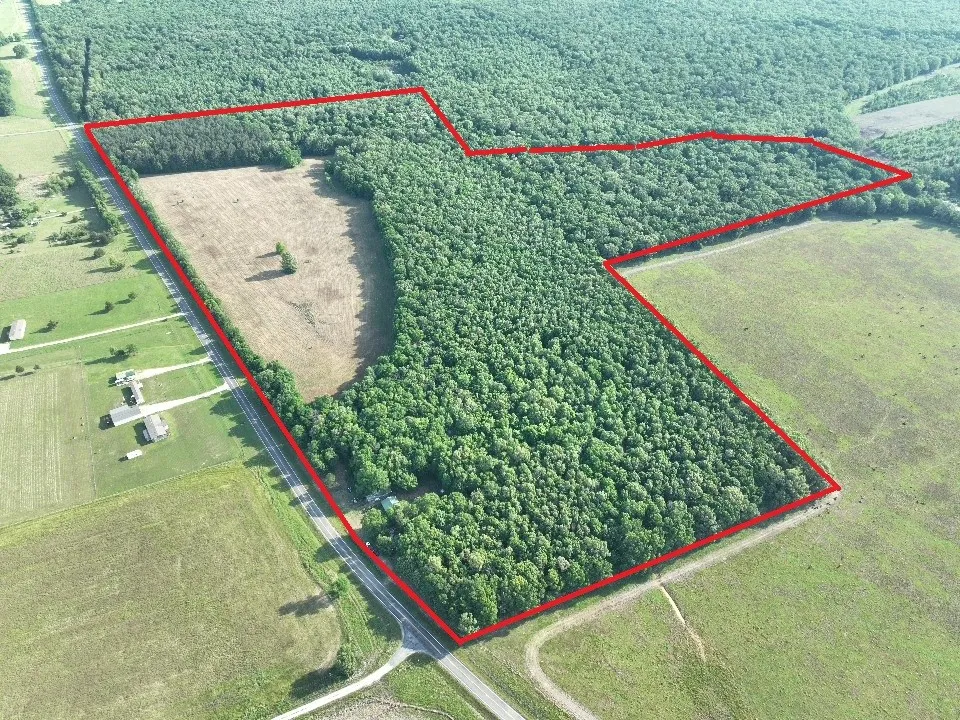 Improved Land For Sale in Red River (TX) County , 7453 Farm Road 412, Clarksville, Texas 75426, 0, 0, Garage spaces, 0 Sqft, built in 0, mls#21260508, Real Estate Agent in Clarksville, Homes For Sale in Red River (TX) county, Homes For Sale in Clarksville, Realtor in Clarksville Texas, Real Estate Brokerage Independent Realty Texas, Luminita Cordes Realtor