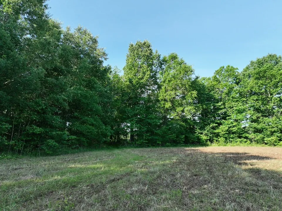 Improved Land For Sale in Red River (TX) County , 7453 Farm Road 412, Clarksville, Texas 75426, 0, 0, Garage spaces, 0 Sqft, built in 0, mls#21260508, Real Estate Agent in Clarksville, Homes For Sale in Red River (TX) county, Homes For Sale in Clarksville, Realtor in Clarksville Texas, Real Estate Brokerage Independent Realty Texas, Luminita Cordes Realtor