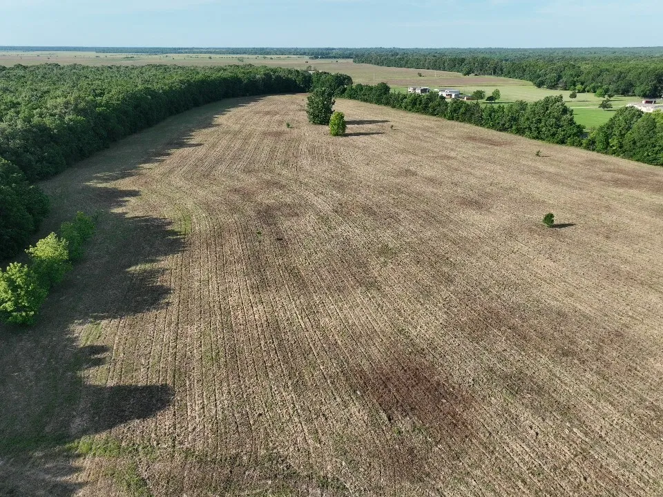Improved Land For Sale in Red River (TX) County , 7453 Farm Road 412, Clarksville, Texas 75426, 0, 0, Garage spaces, 0 Sqft, built in 0, mls#21260508, Real Estate Agent in Clarksville, Homes For Sale in Red River (TX) county, Homes For Sale in Clarksville, Realtor in Clarksville Texas, Real Estate Brokerage Independent Realty Texas, Luminita Cordes Realtor