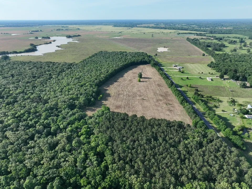 Improved Land For Sale in Red River (TX) County , 7453 Farm Road 412, Clarksville, Texas 75426, 0, 0, Garage spaces, 0 Sqft, built in 0, mls#21260508, Real Estate Agent in Clarksville, Homes For Sale in Red River (TX) county, Homes For Sale in Clarksville, Realtor in Clarksville Texas, Real Estate Brokerage Independent Realty Texas, Luminita Cordes Realtor