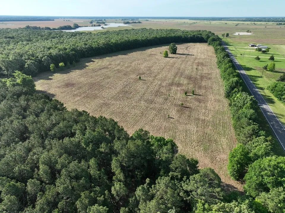 Improved Land For Sale in Red River (TX) County , 7453 Farm Road 412, Clarksville, Texas 75426, 0, 0, Garage spaces, 0 Sqft, built in 0, mls#21260508, Real Estate Agent in Clarksville, Homes For Sale in Red River (TX) county, Homes For Sale in Clarksville, Realtor in Clarksville Texas, Real Estate Brokerage Independent Realty Texas, Luminita Cordes Realtor
