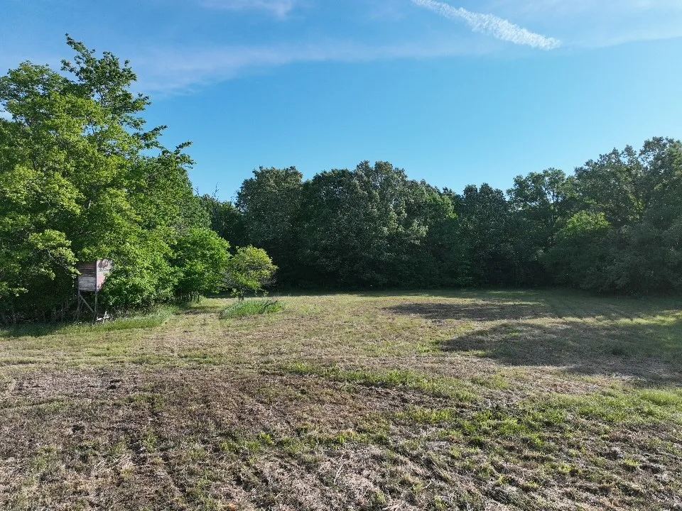 Improved Land For Sale in Red River (TX) County , 7453 Farm Road 412, Clarksville, Texas 75426, 0, 0, Garage spaces, 0 Sqft, built in 0, mls#21260508, Real Estate Agent in Clarksville, Homes For Sale in Red River (TX) county, Homes For Sale in Clarksville, Realtor in Clarksville Texas, Real Estate Brokerage Independent Realty Texas, Luminita Cordes Realtor