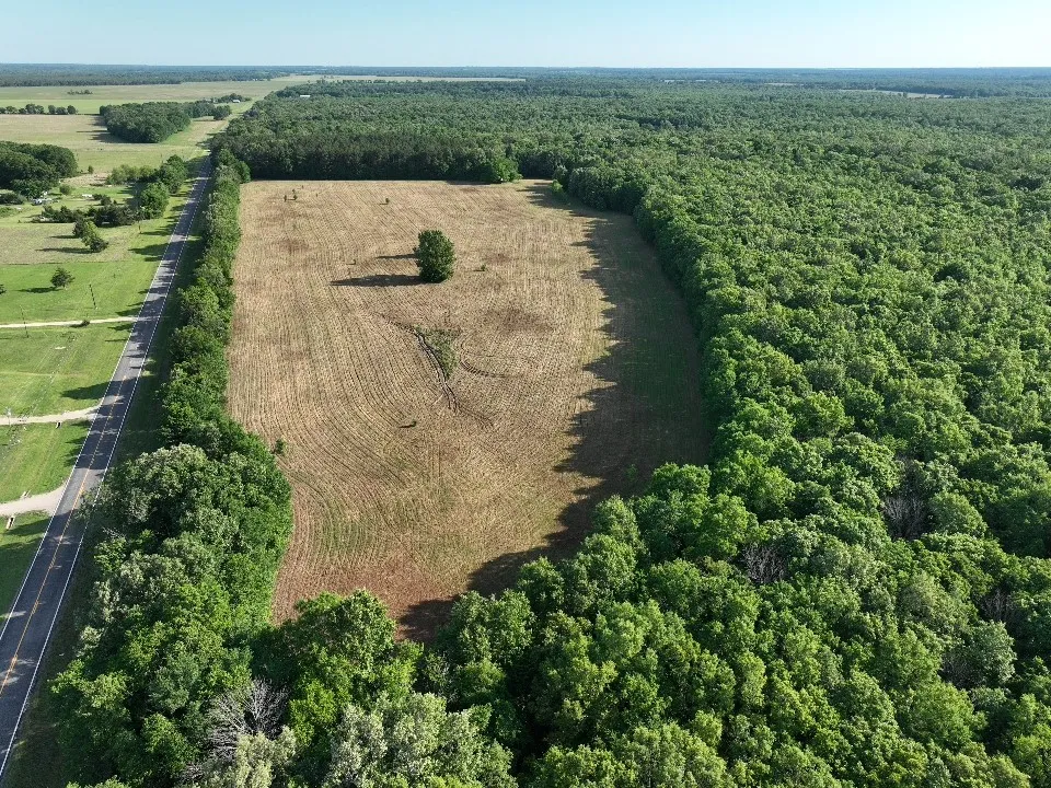 Improved Land For Sale in Red River (TX) County , 7453 Farm Road 412, Clarksville, Texas 75426, 0, 0, Garage spaces, 0 Sqft, built in 0, mls#21260508, Real Estate Agent in Clarksville, Homes For Sale in Red River (TX) county, Homes For Sale in Clarksville, Realtor in Clarksville Texas, Real Estate Brokerage Independent Realty Texas, Luminita Cordes Realtor