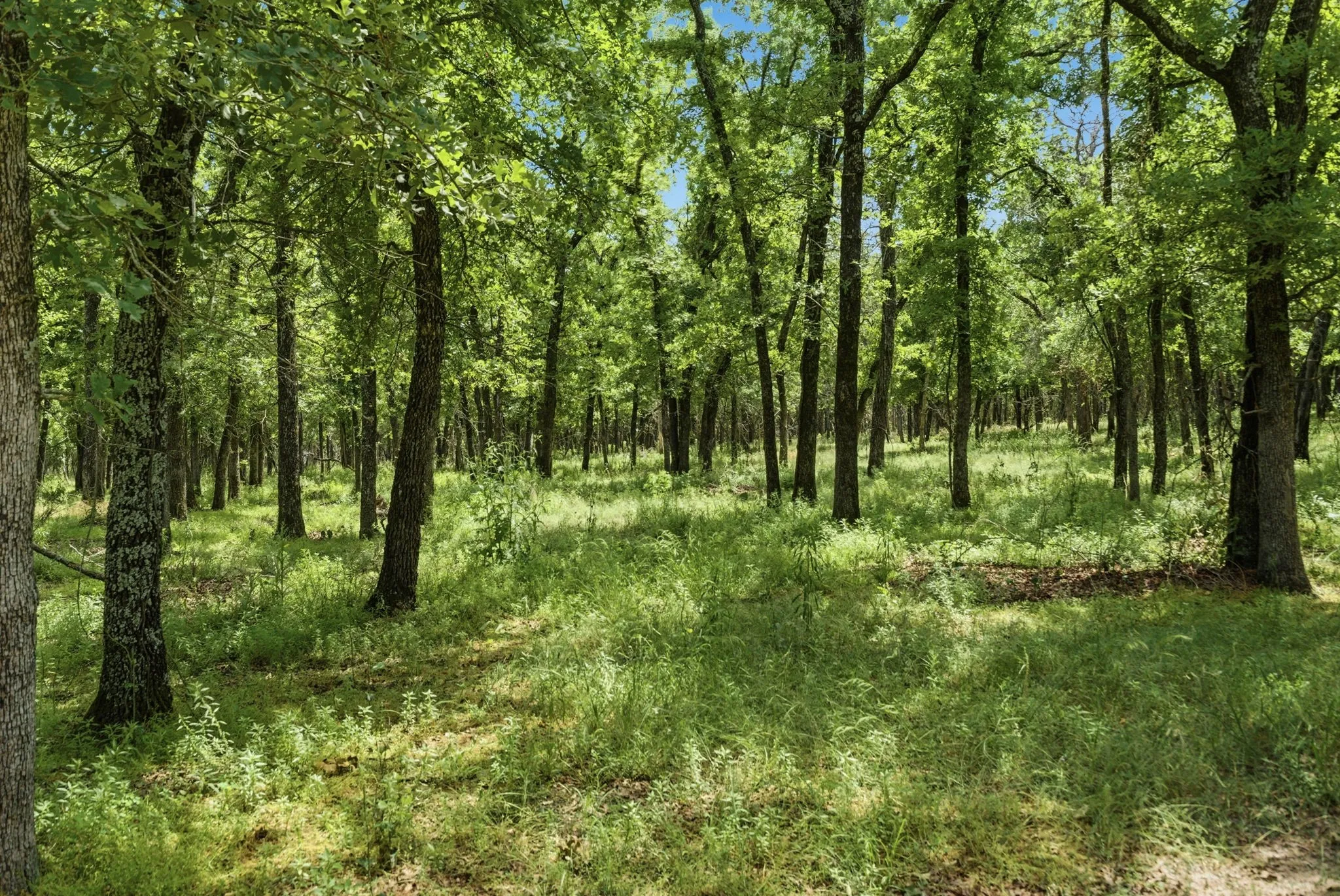 Single Family Residence For Sale in Parker County , 148 Arista Trail, Poolville, Texas 76487, 3 Bedroom, 3 Bathroom, 3 Garage spaces, 2,618 Sqft, built in 2009, Preowned, mls#21259280, Real Estate Agent in Poolville, Homes For Sale in Parker county, Homes For Sale in Poolville, Realtor in Poolville Texas, Real Estate Brokerage Independent Realty Texas, Luminita Cordes Realtor