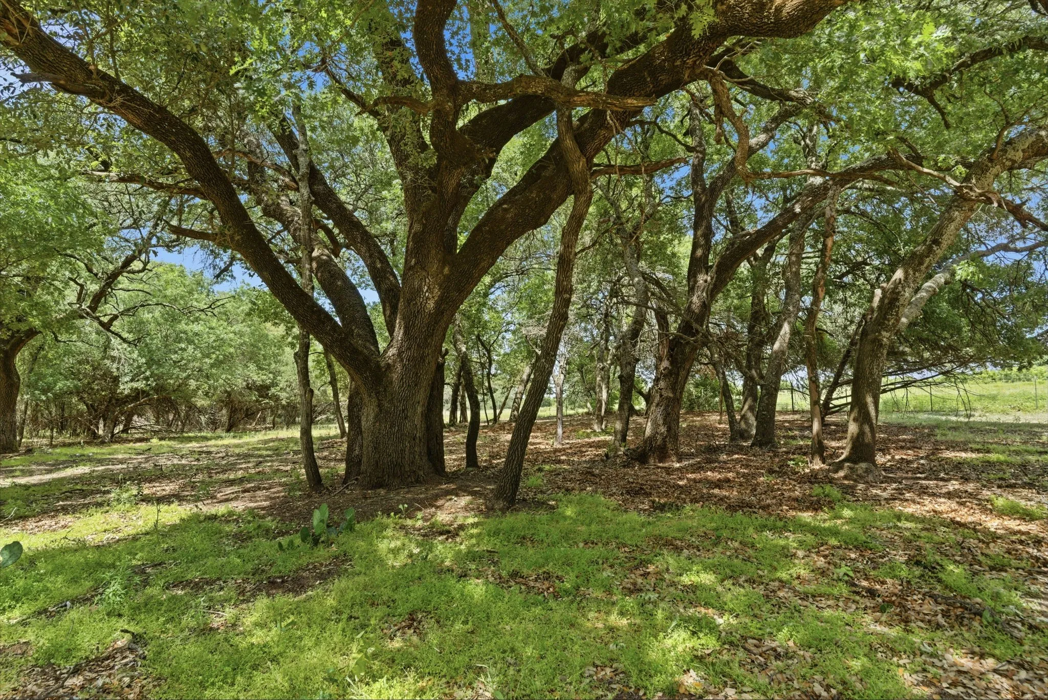Single Family Residence For Sale in Parker County , 148 Arista Trail, Poolville, Texas 76487, 3 Bedroom, 3 Bathroom, 3 Garage spaces, 2,618 Sqft, built in 2009, Preowned, mls#21259280, Real Estate Agent in Poolville, Homes For Sale in Parker county, Homes For Sale in Poolville, Realtor in Poolville Texas, Real Estate Brokerage Independent Realty Texas, Luminita Cordes Realtor